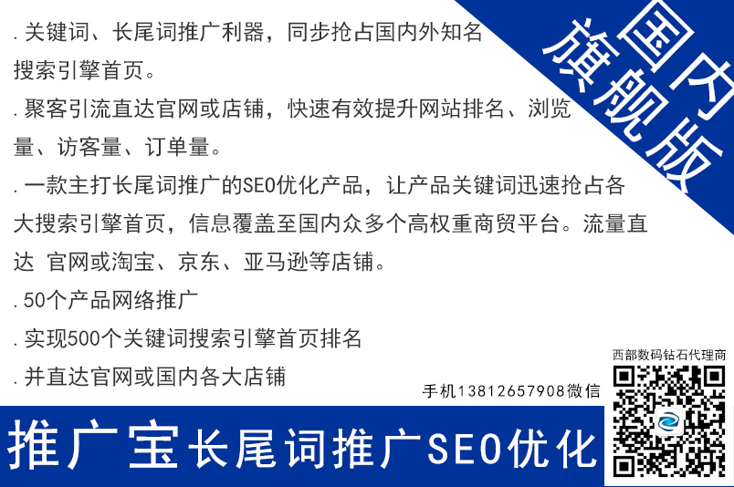 推廣寶seo網絡長尾關鍵詞推廣 國內旗艦版